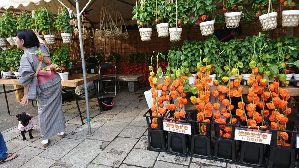 深大寺 鬼燈まつり